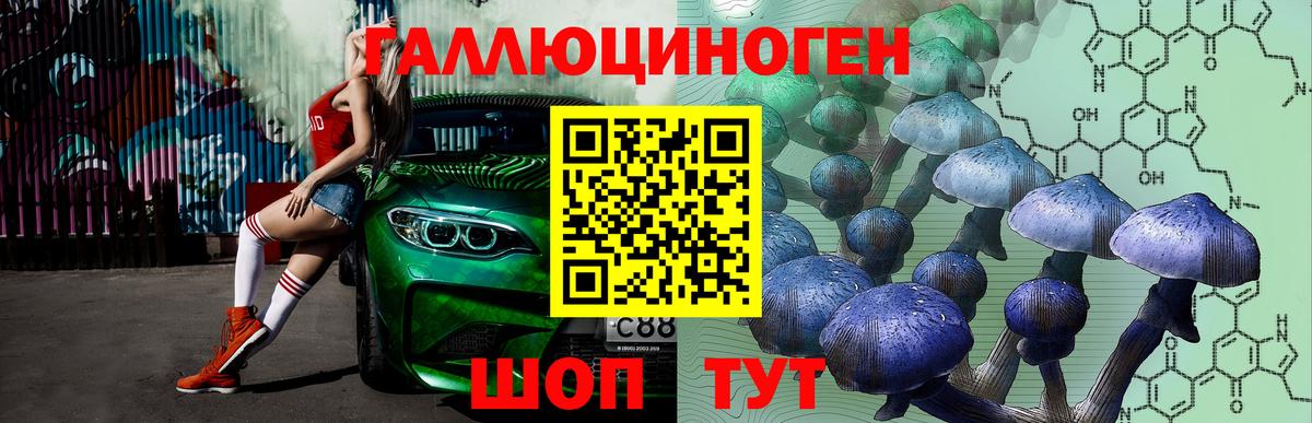 Псилоцибиновые грибы прущие грибы Балтийск